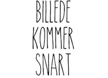 Jytte Skanderup Andersen